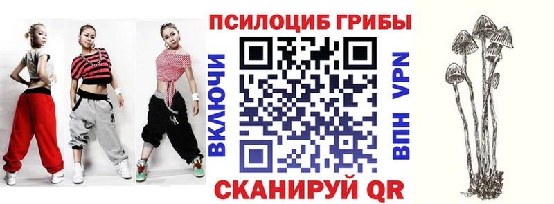 ОМГ ОМГ ТОР  Улан-Удэ  Псилоцибиновые грибы прущие грибы 